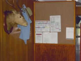photo17