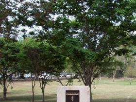photo22